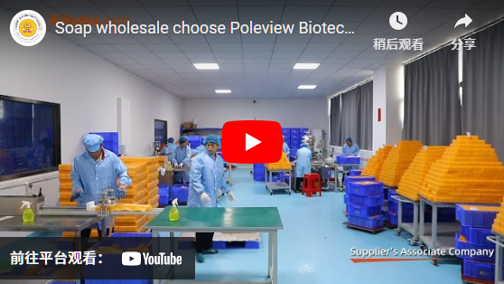 비누 도매는 Poleview Biotechnology Group Co., LTD를 선택하세요